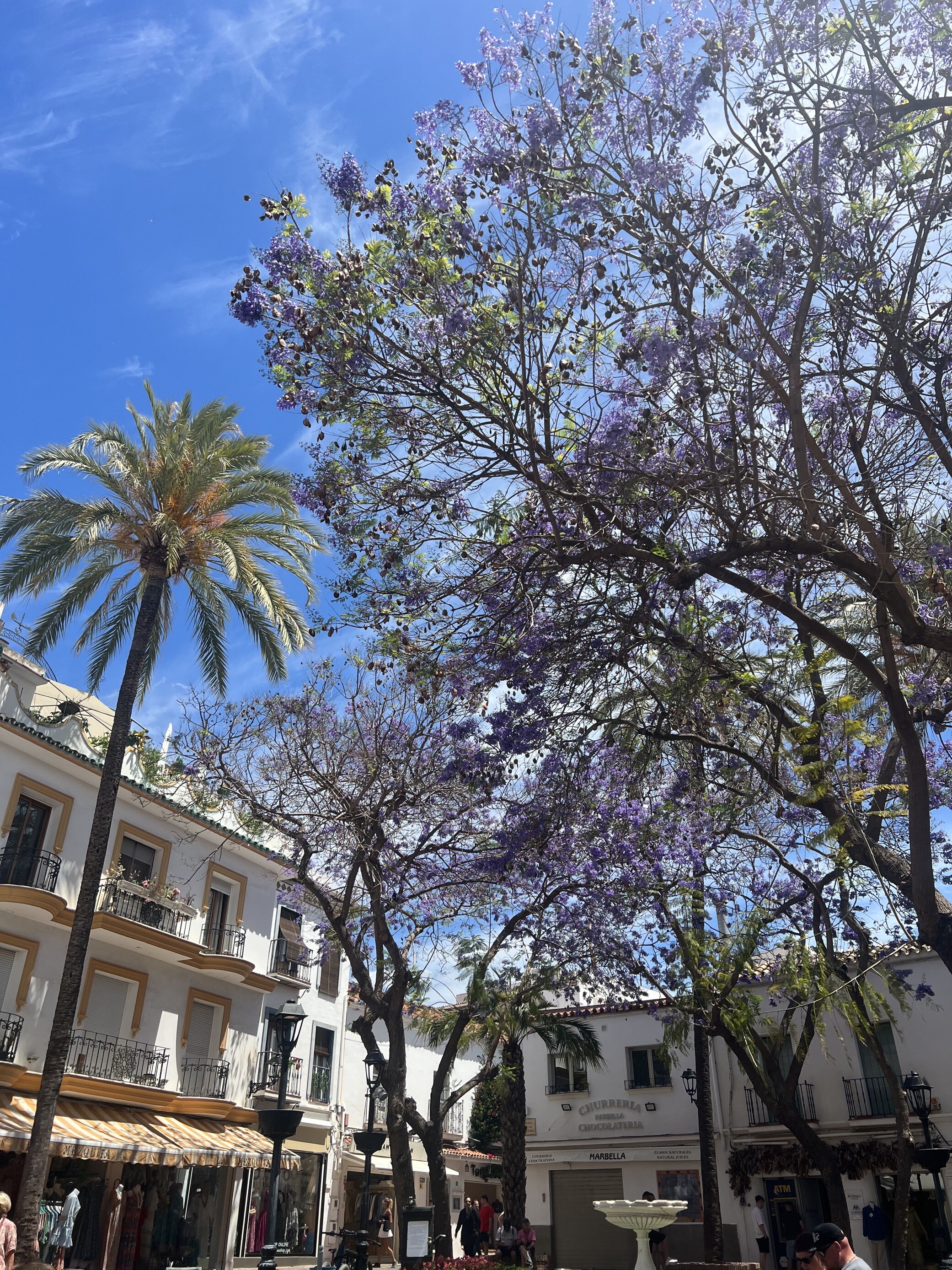 Flowers in Marbella Old town